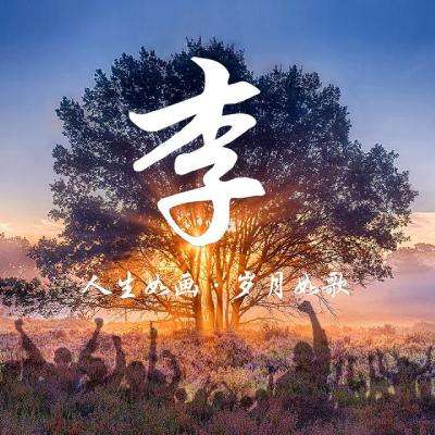 悠悠恋物语满v版下载